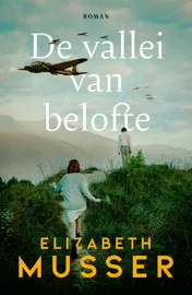 Omslag van De vallei van belofte