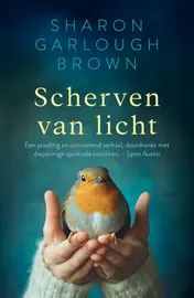 Omslag van Scherven van licht