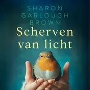Omslag van Scherven van licht