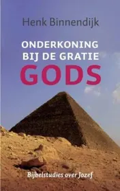 Omslag van Onderkoning bij de gratie Gods