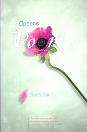 Omslag van Opeens voorbij
