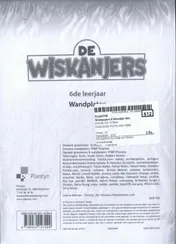 Omslag van De wiskanjers 6 wandplaten