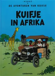 Omslag van Kuifje in Afrika