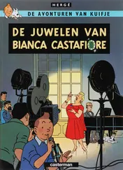 Omslag van 20 juwelen van Bianca Castafiore