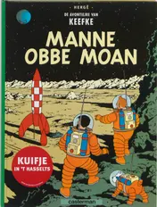 Omslag van Manne obbe moan