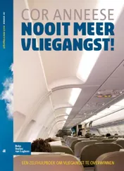 Omslag van Nooit meer vliegangst