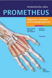 Omslag van Algemene anatomie en bewegingsapparaat