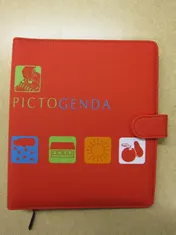 Omslag van Pictogenda