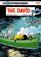 Omslag van David