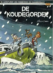 Omslag van Koudegordel