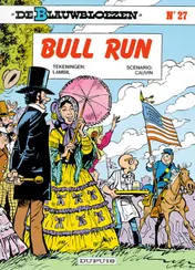 Omslag van Bull run