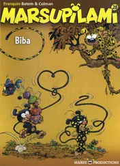 Omslag van Biba