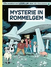 Omslag van Mysterie in Rommelgem