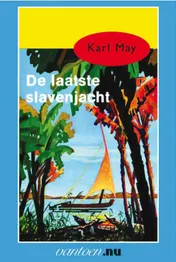Omslag van De laatste slavenjacht