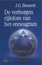 Omslag van Verborgen rijkdom van het enneagram
