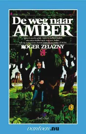 Omslag van De weg naar Amber