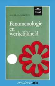 Omslag van Fenomenologie en werkelijkheid