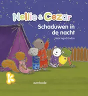 Omslag van Schaduwen in de nacht