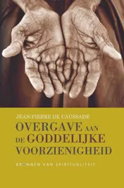 Omslag van Overgave aan de Goddelijke voorzienigheid