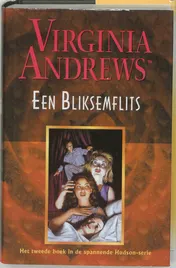 Omslag van Een bliksemflits