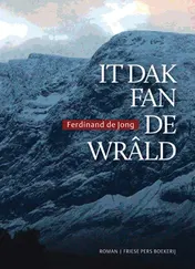 Omslag van It dak fan de wrald