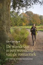 Omslag van De wandelaar is een weeskind van de romantiek