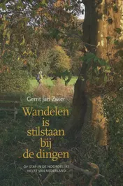 Omslag van Wandelen is stilstaan bij de dingen
