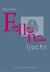 Omslag van Fallend ljocht