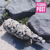 Omslag van Flessenpost
