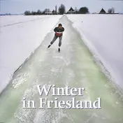 Omslag van Winter in Friesland