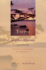 Omslag van Troost in ziekte en sterven