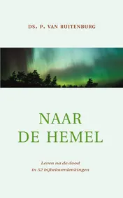 Omslag van Naar de hemel