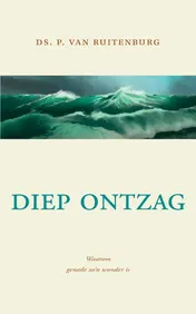 Omslag van Diep ontzag