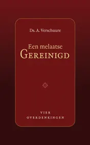 Omslag van Een melaatse gereinigd
