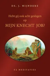 Omslag van Hebt gij ook acht geslagen op mijn knecht Job?