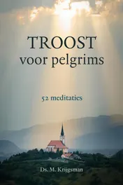 Omslag van Troost voor pelgrims