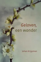 Omslag van Geloven, een wonder