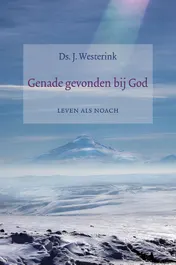 Omslag van Genade gevonden bij God