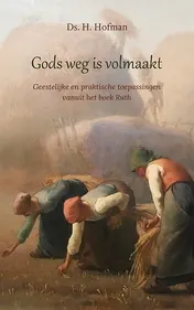 Omslag van Gods weg is volmaakt