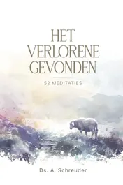 Omslag van Het verlorene gevonden