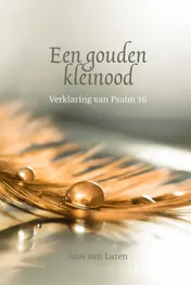 Omslag van Een gouden kleinood