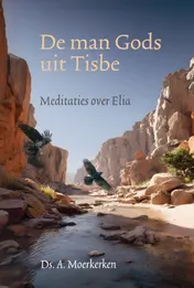 Omslag van De man Gods uit Tisbe