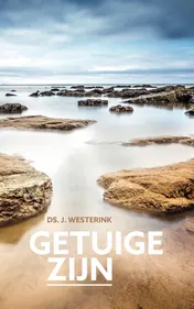 Omslag van Getuige zijn