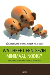 Omslag van Wat heeft een gezin minimaal nodig?