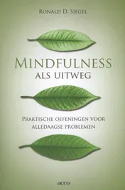 Omslag van Mindfulness als uitweg