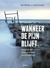 Omslag van Wanneer de pijn blijft