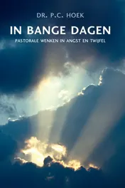 Omslag van Angst en twijfel