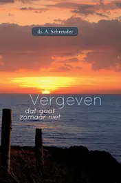 Omslag van Vergeven dat gaat zomaar niet
