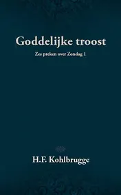 Omslag van Goddelijke troost
