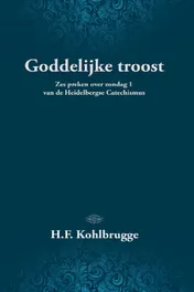 Omslag van Goddelijke troost